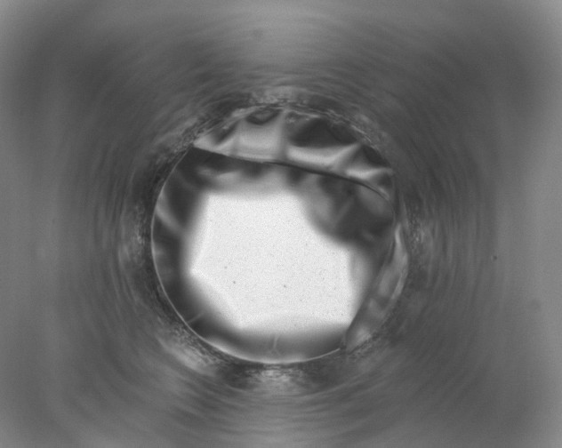 X0000077980566200611171732