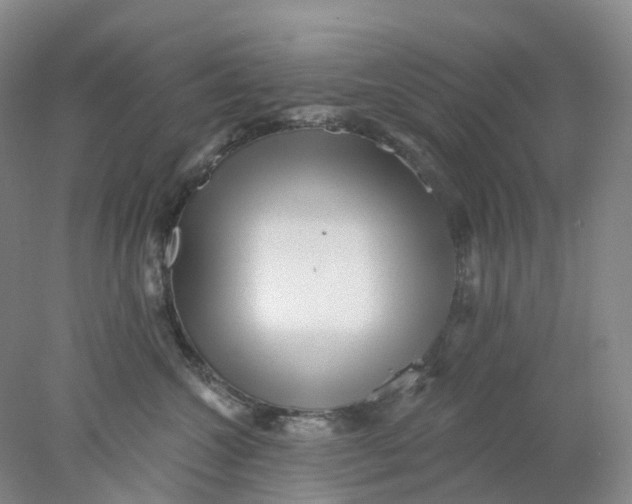 X0000077980572200611171732