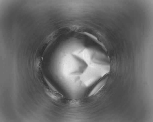 X0000077980574200611171732