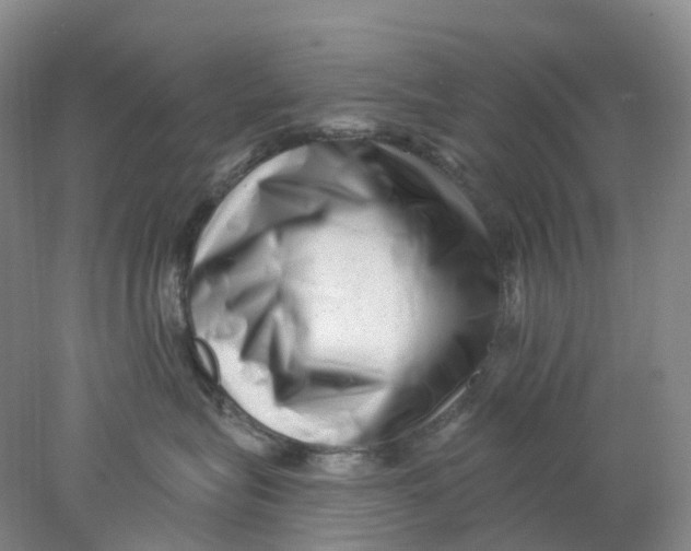 X0000077980575200611171732