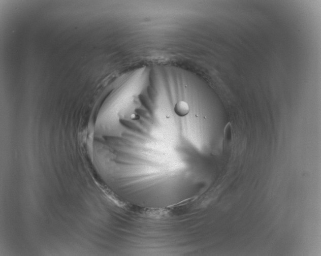 X0000077980576200611171732