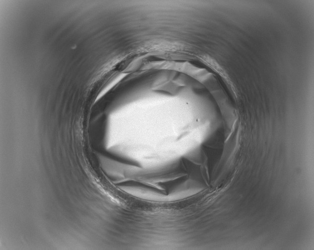 X0000077980581200611171731