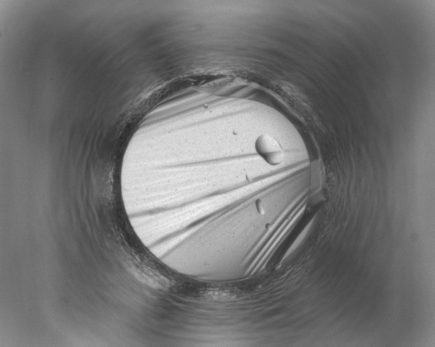 X0000077980596200611171731