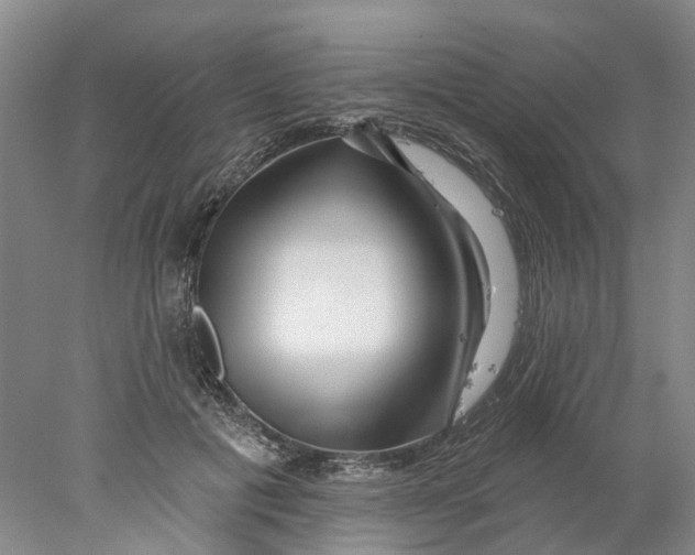 X0000077980601200611171730