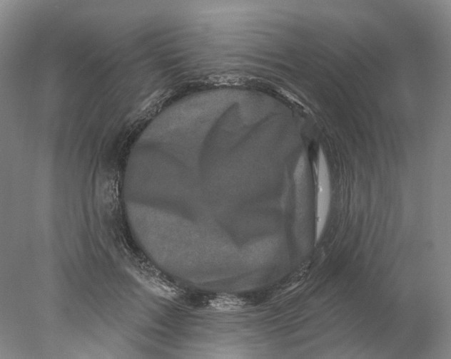 X0000077980603200611171730