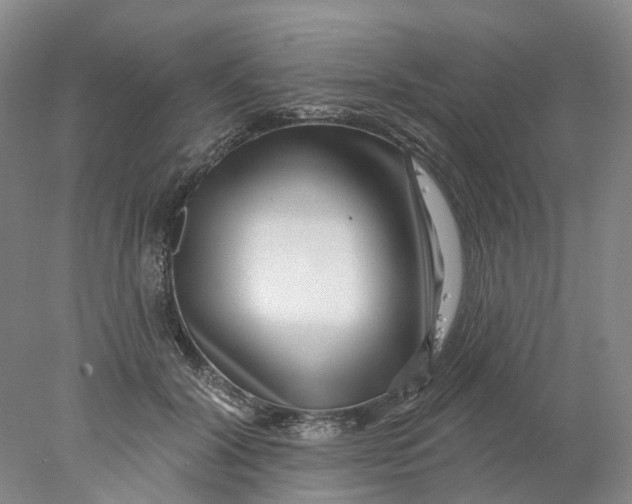 X0000077980604200611171730