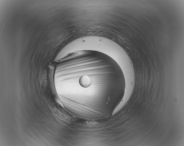 X0000077980605200611171730