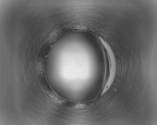 X0000077980609200611171730
