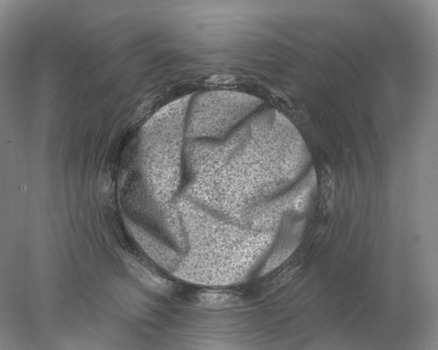 X0000077980614200611171730