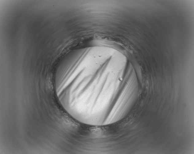 X0000077980616200611171730