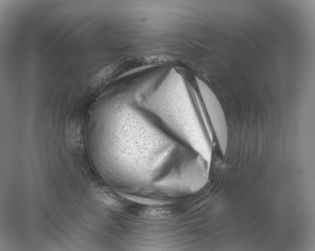 X0000077980619200611171730