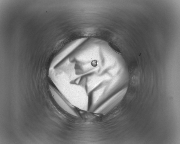 X0000077980620200611171730