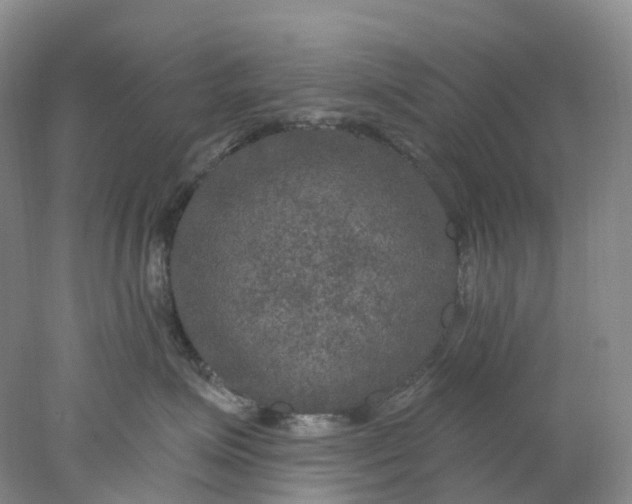 X0000077980623200611171730