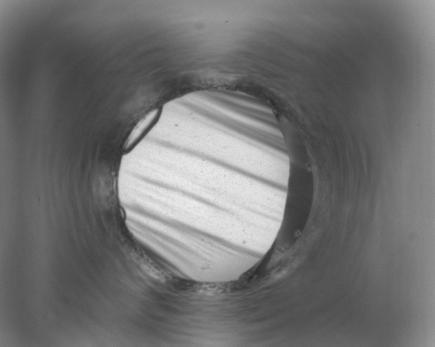 X0000077980624200611171730