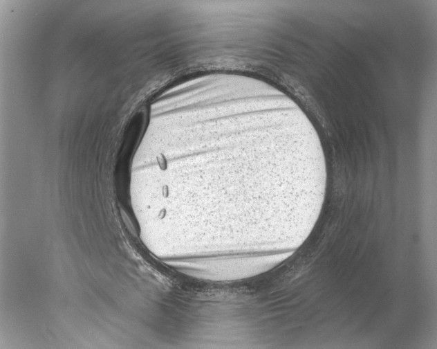 X0000077980625200611171729