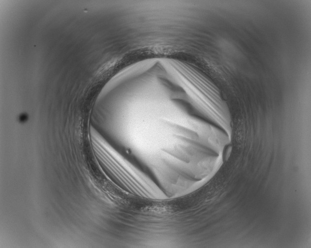 X0000077980639200611171730