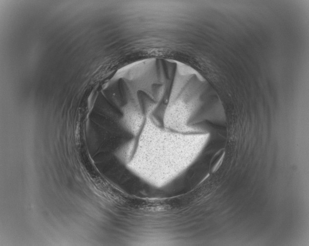 X0000077980646200611171730