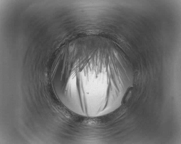 X0000077980655200611171730