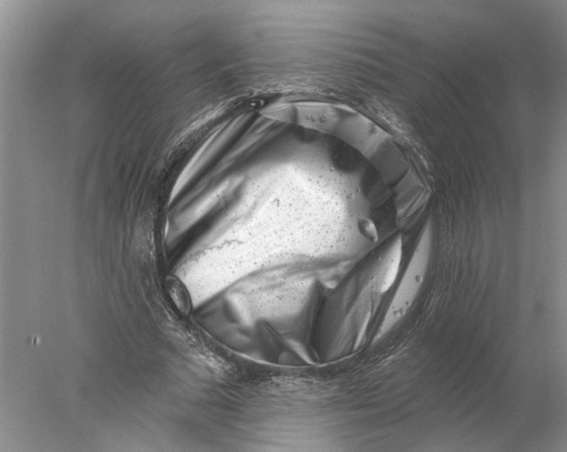 X0000077980681200611171729