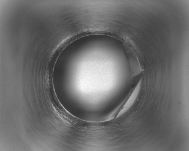 X0000077980684200611171729