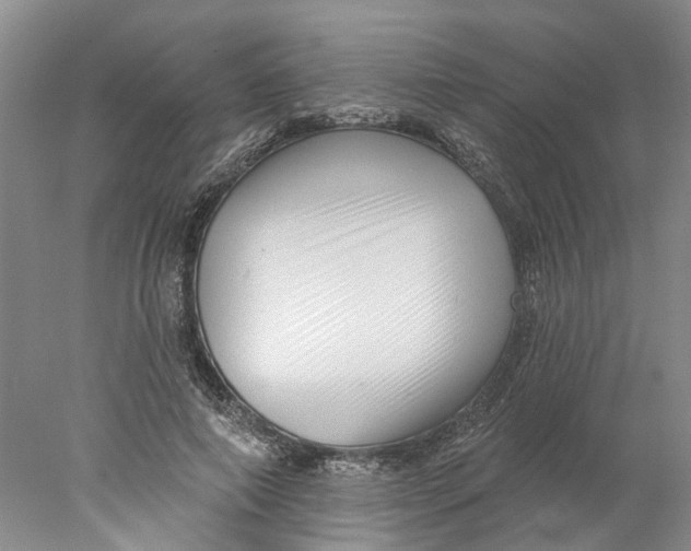 X0000077980690200611171729