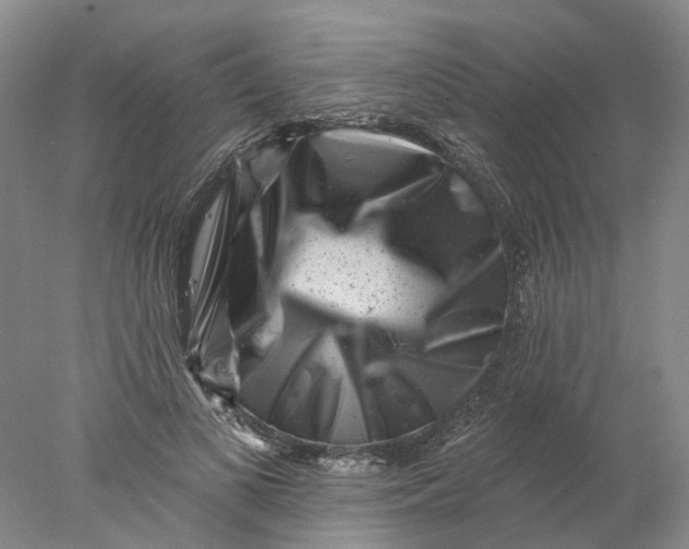 X0000077980693200611171729