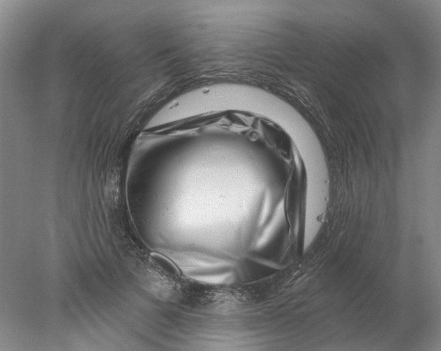 X0000077980697200611171729