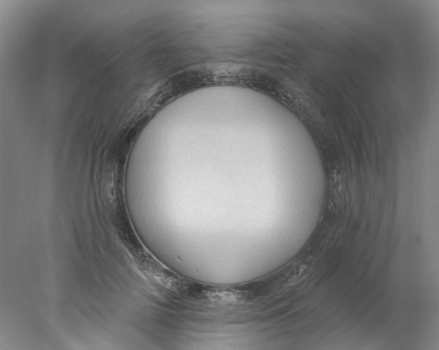X0000077980698200611171729