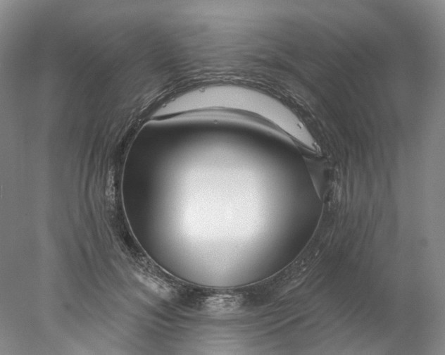 X0000077980700200611171729