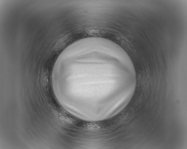 X0000077980702200611171729