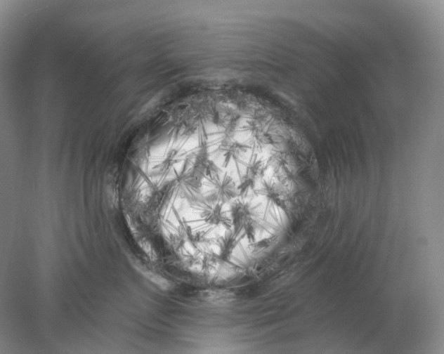 X0000077980719200611171729