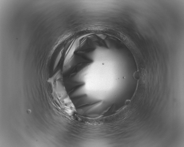 X0000077980731200611171728