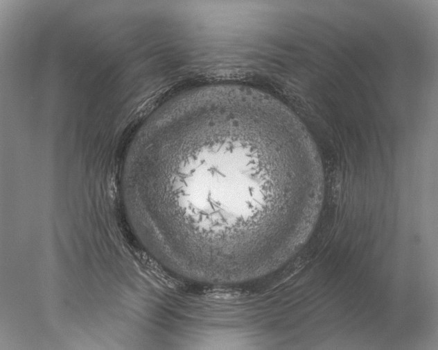 X0000077980746200611171728