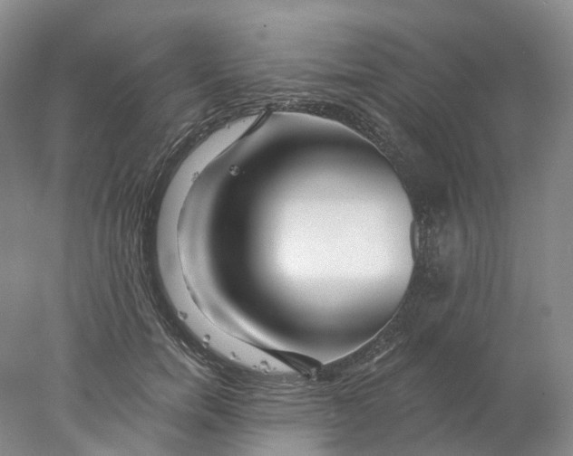 X0000077980750200611171728