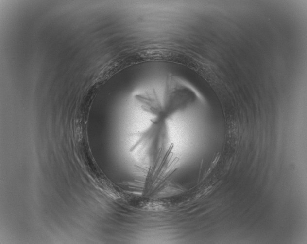 X0000077980751200611171728