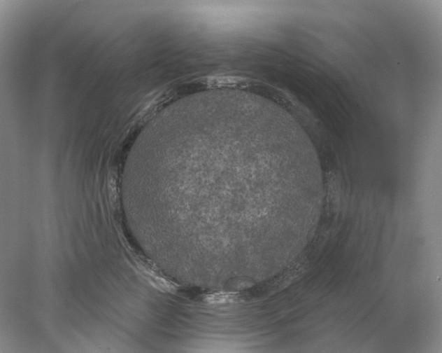 X0000077980761200611171728