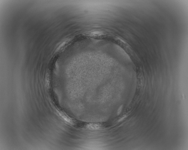 X0000077980762200611171728