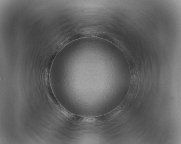X0000077980767200611171728