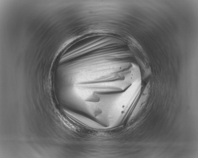 X0000077980787200611171727