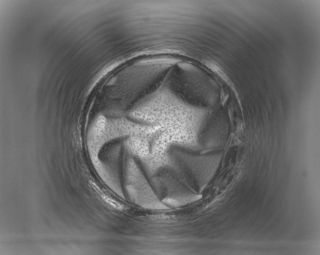 X0000077980789200611171727
