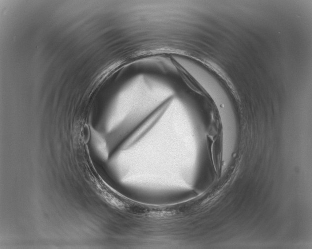X0000077980793200611171727