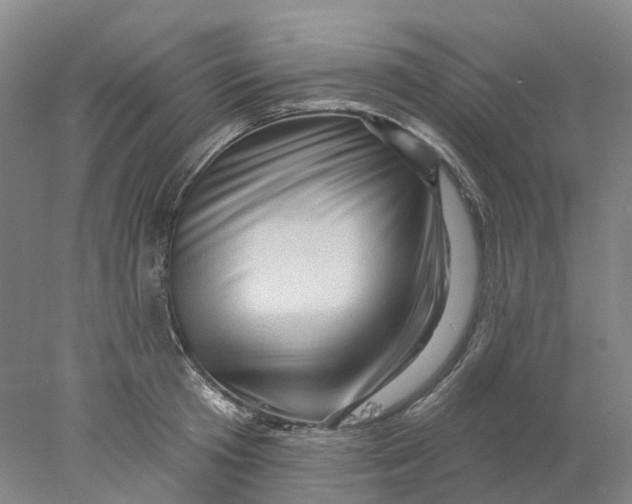X0000077980801200611171727