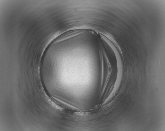 X0000077980805200611171727