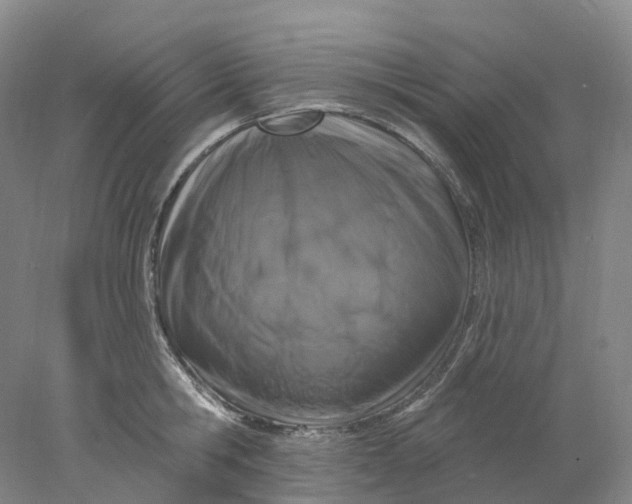X0000077980806200611171727