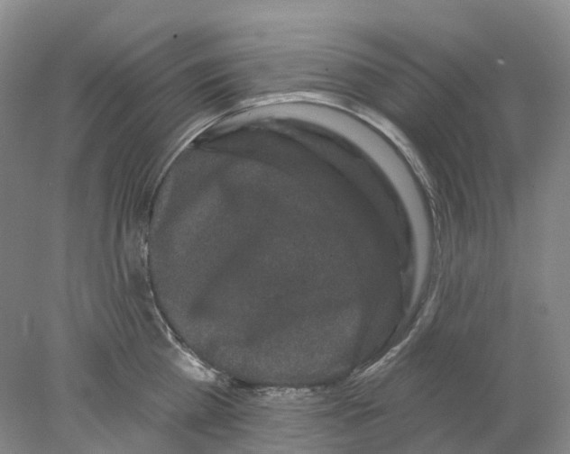 X0000077980809200611171727