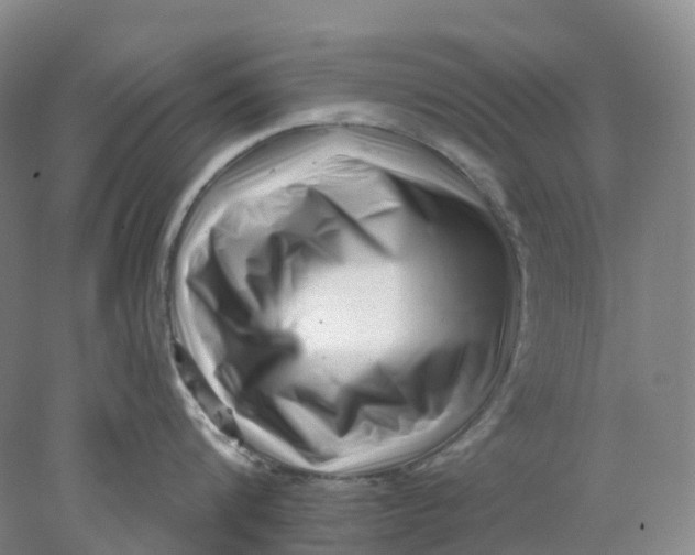 X0000077980816200611171727