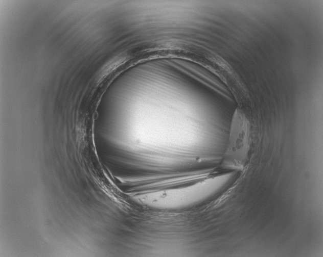 X0000077980826200611171726