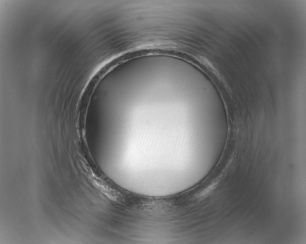 X0000077980830200611171726