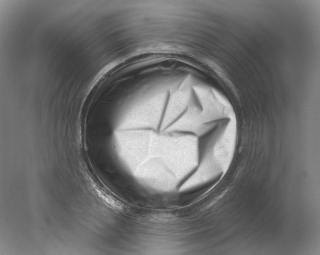 X0000077980837200611171726