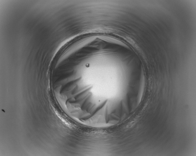 X0000077980838200611171726